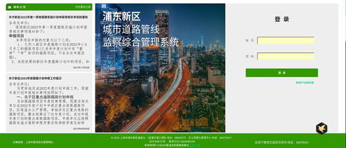 上海互聯網軟件集團 高端協同管理軟件產品和咨詢服務提供商