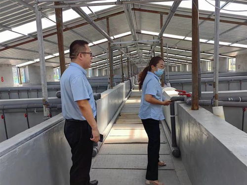 博興 審批加速跑 全力保障特色水產(chǎn)行業(yè)健康發(fā)展