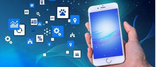 app軟件定制方案